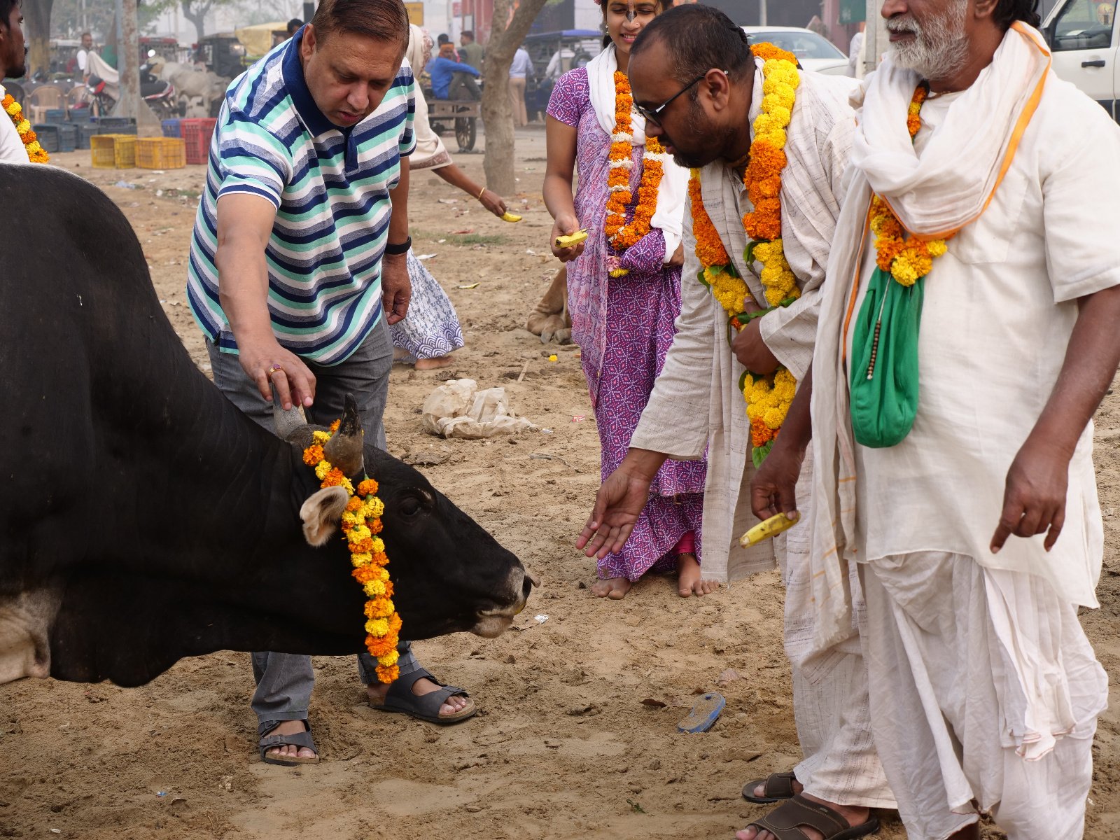  157 Gopashtami Radha kunda Govardhan 19.11.04
